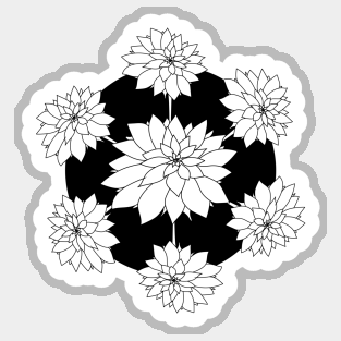 White dahlias Sticker